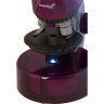 Микроскоп LEVENHUK LabZZ M101 Аметист 69033